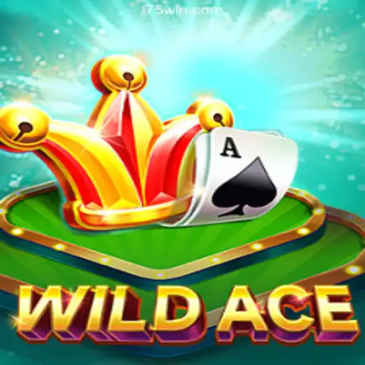 Discover WildAce: The Thrilling Slot Adventure on 175Win.com